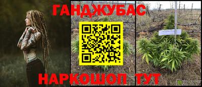прущие грибы Дубна