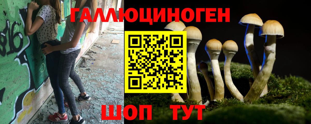 Надым  Псилоцибиновые грибы GOLDEN TEACHER  Вход с VPN 