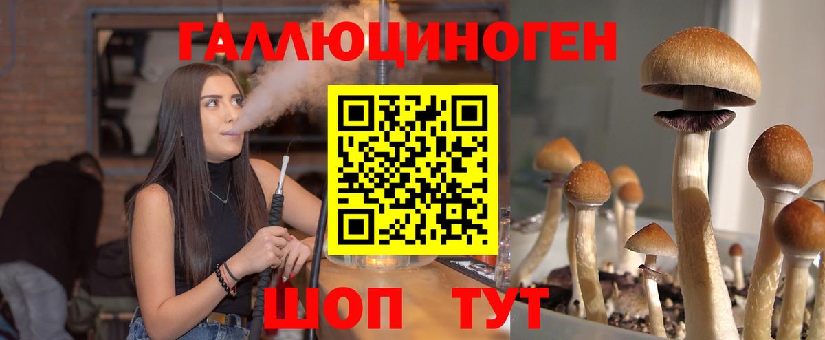 Псилоцибиновые грибы GOLDEN TEACHER Надым